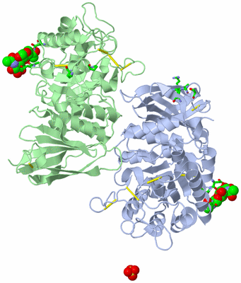 Image Asym./Biol. Unit - sites