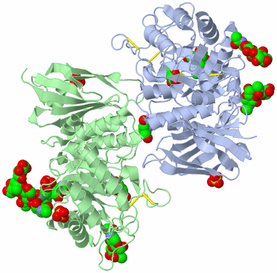 Image Asym./Biol. Unit