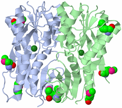 Image Asym./Biol. Unit