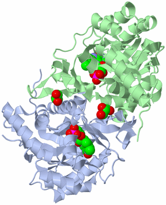 Image Asym./Biol. Unit