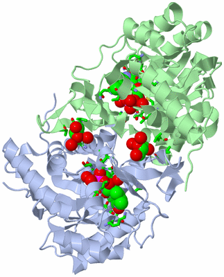 Image Asym./Biol. Unit - sites