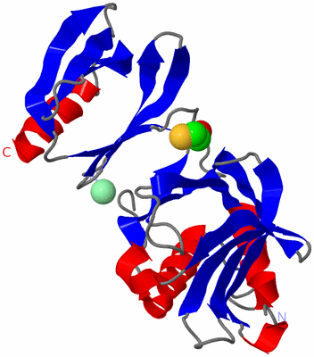 Image Asym./Biol. Unit