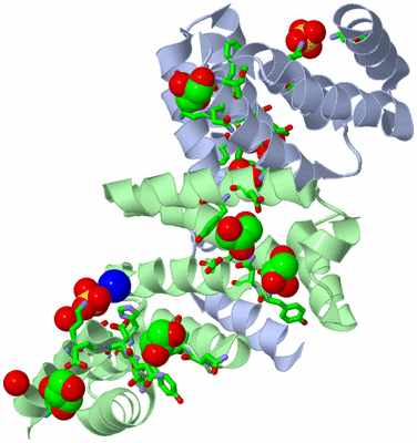 Image Asym./Biol. Unit - sites