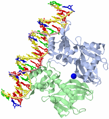 Image Asym./Biol. Unit