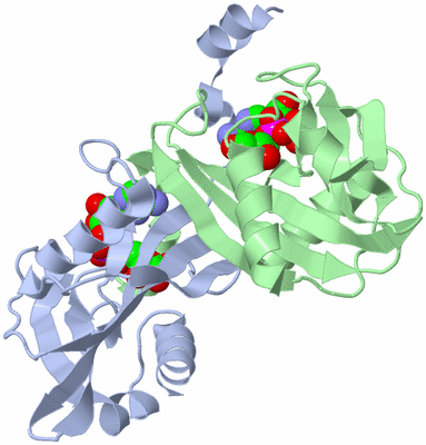 Image Biological Unit 1