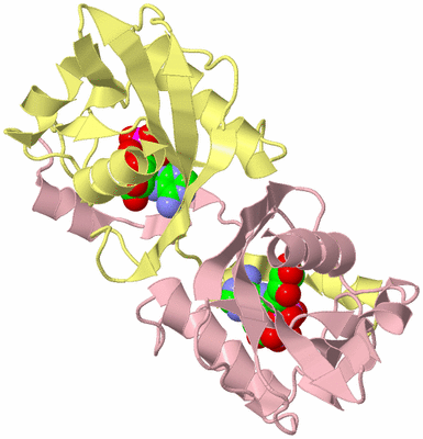 Image Biological Unit 2