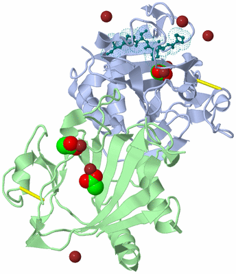 Image Biological Unit 1