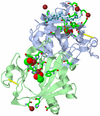 Image Biol. Unit 1 - sites