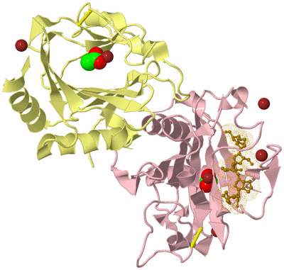 Image Biological Unit 2