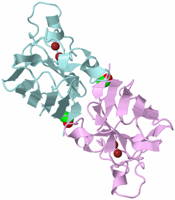 Image Biological Unit 3