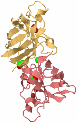 Image Biological Unit 4