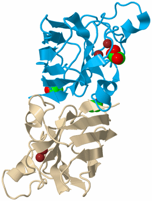 Image Biological Unit 5