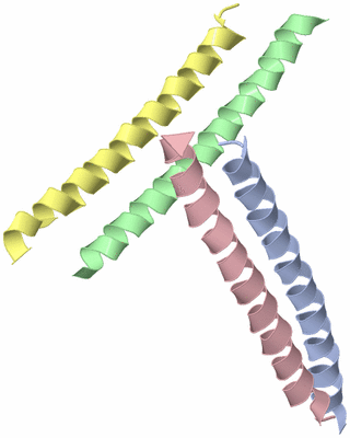 Image Asymmetric Unit