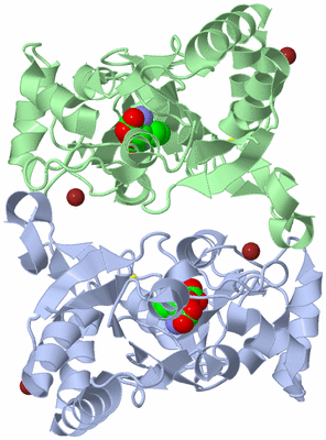 Image Biological Unit 1