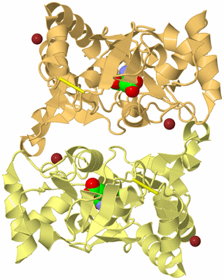 Image Biological Unit 2