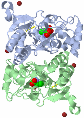 Image Biological Unit 3