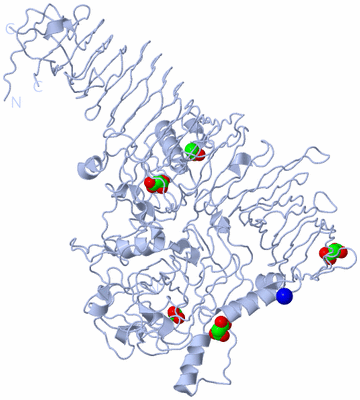 Image Biological Unit 1