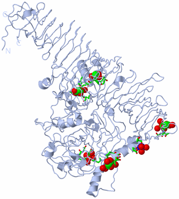 Image Biol. Unit 1 - sites