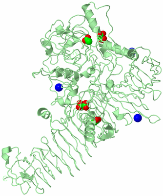 Image Biological Unit 2