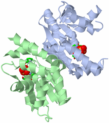 Image Asym./Biol. Unit - sites