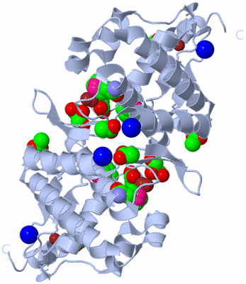 Image Biological Unit 1