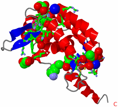 Image Asym. Unit - sites