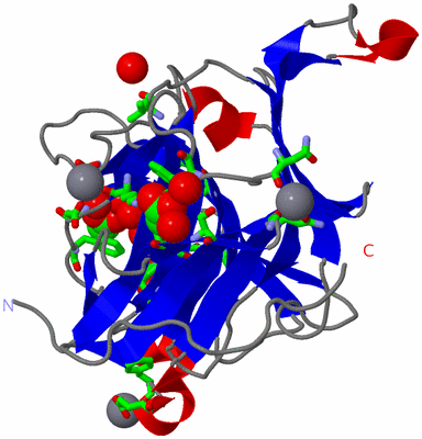 Image Asym./Biol. Unit - sites