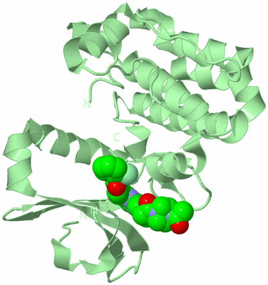 Image Biological Unit 2