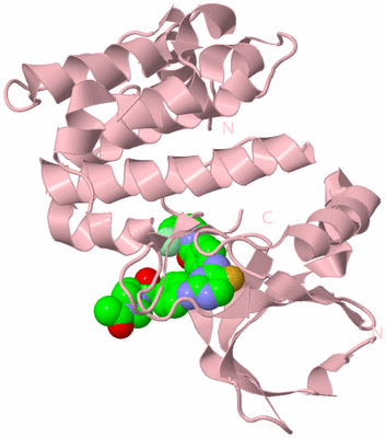 Image Biological Unit 3