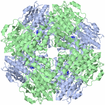 Image Biological Unit 1