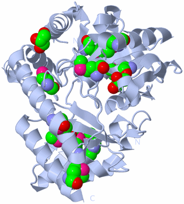 Image Biological Unit 1