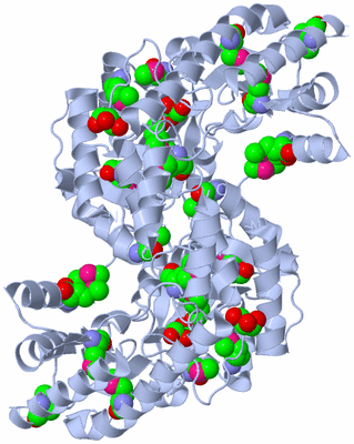 Image Biological Unit 2