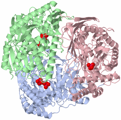 Image Biological Unit 1