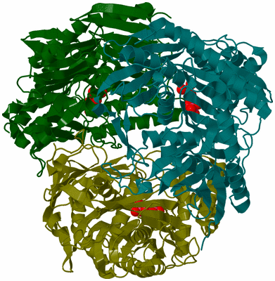 Image Biological Unit 13