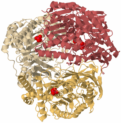 Image Biological Unit 5