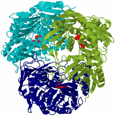 Image Biological Unit 9