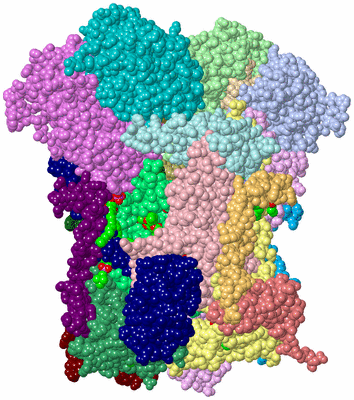 Image Asym./Biol. Unit