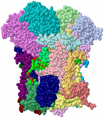 Image Asym./Biol. Unit - sites