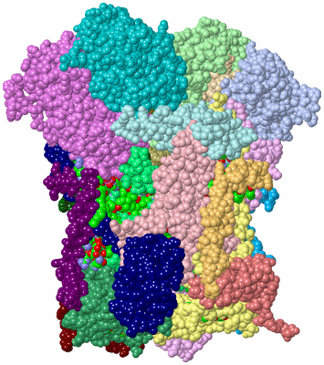 Image Asym./Biol. Unit - sites