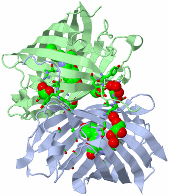 Image Asym./Biol. Unit - sites