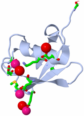 Image Biol. Unit 1 - sites