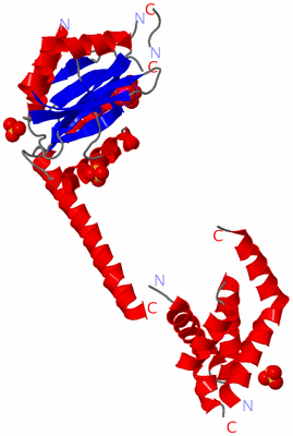 Image Asymmetric Unit