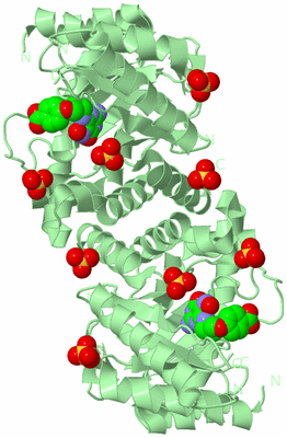 Image Biological Unit 2