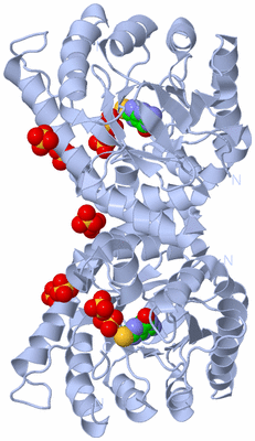 Image Biological Unit 1