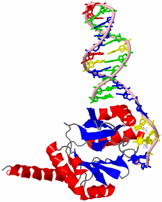 Image Asym./Biol. Unit