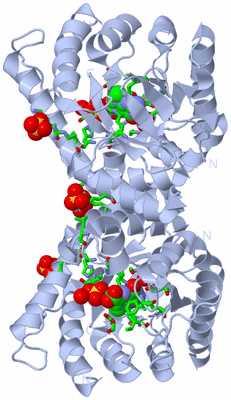 Image Biol. Unit 1 - sites