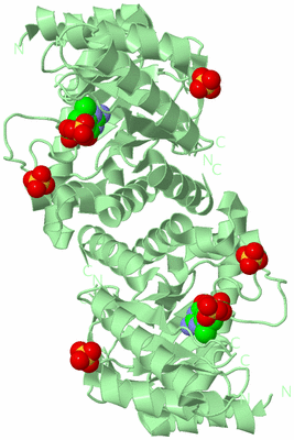 Image Biological Unit 2