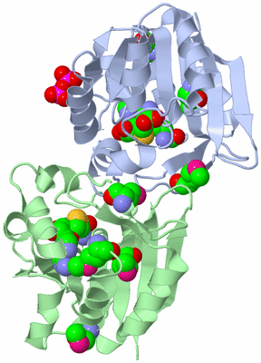 Image Asym./Biol. Unit