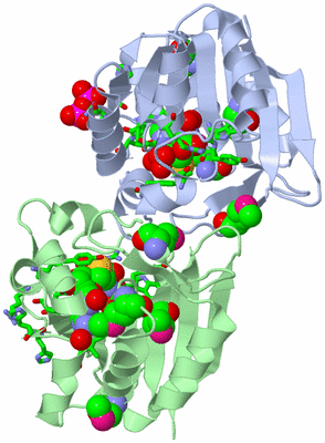 Image Asym./Biol. Unit - sites