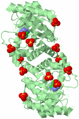 Image Biological Unit 2